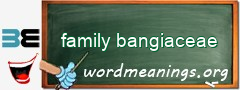 WordMeaning blackboard for family bangiaceae